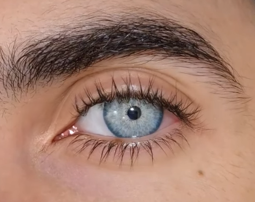 Brooklyn Gray