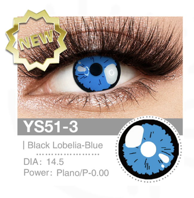 Black Lobelia Blue YS51-3