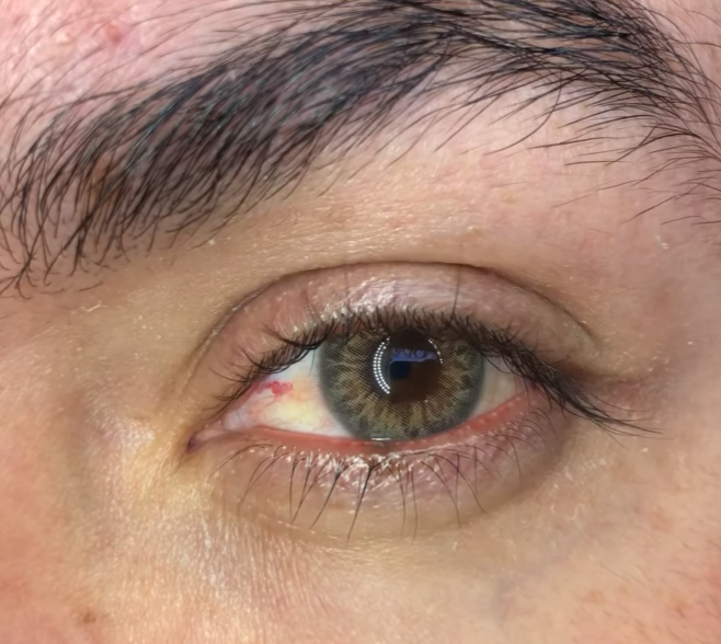 DNA Taylor Brown Hazel