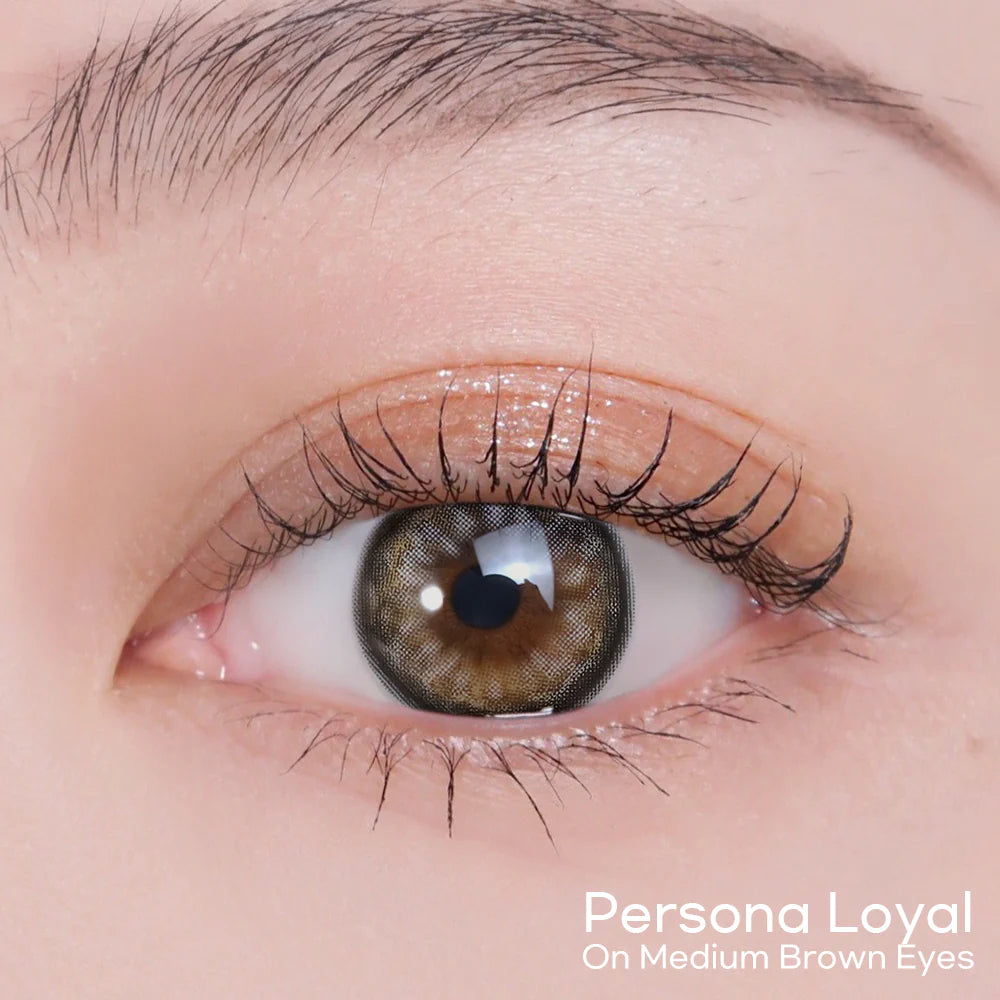 Siesta Identity Persona Loyal