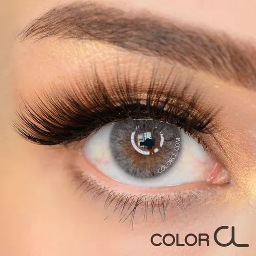 Siesta Crystal Halo Gray