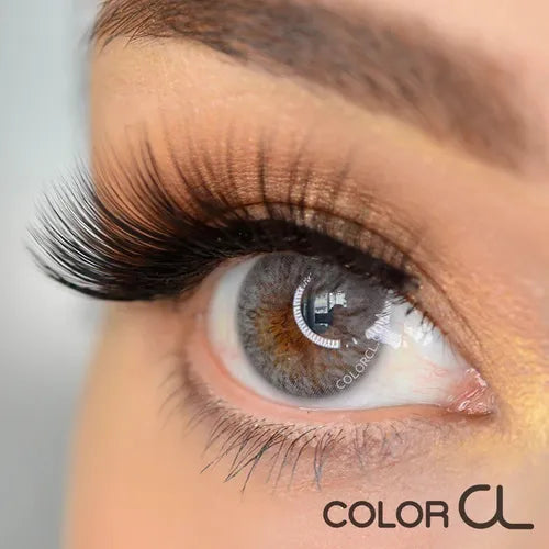 Siesta Crystal Halo Gray