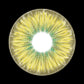 17 mm Avatar