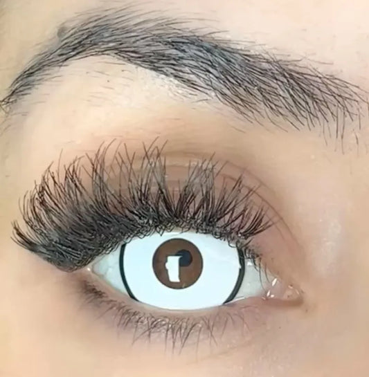 17 mm Corunus White