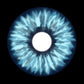 17 mm  Elf Blue