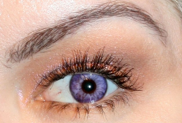 Bliss Lilac - Siesta Black