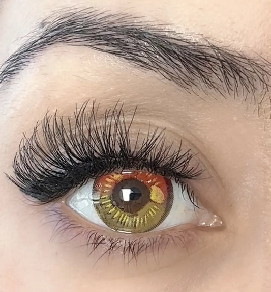 Anime Red Brown DY1-2