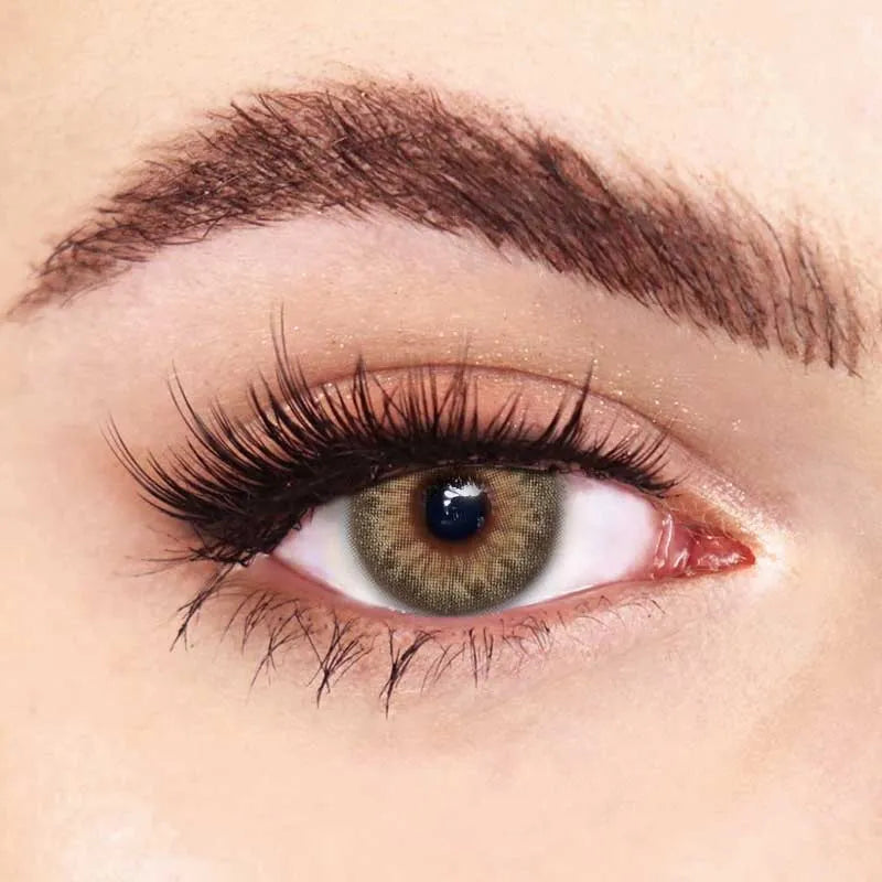 DNA Taylor Brown Hazel