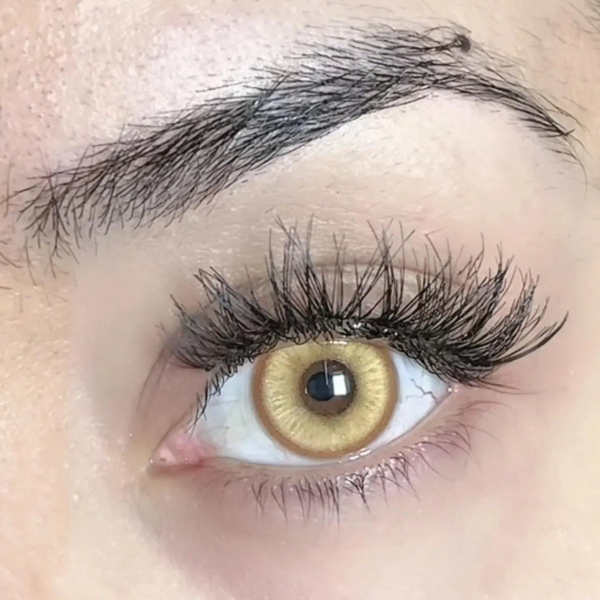 Magic Pop Brown