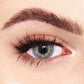 DNA Taylor Blue Gray