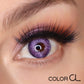 Bliss Lilac - Siesta Black