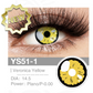 Veronica Yellow YS51-1