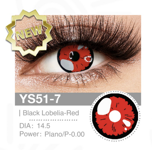 Black Lobelia Red