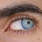 Brooklyn Gray
