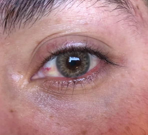 DNA Taylor Brown Hazel