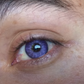 Bliss Lilac - Siesta Black