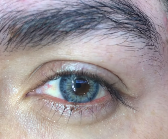 DNA Taylor Blue Gray