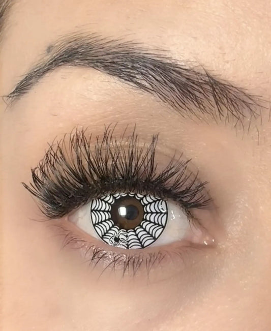Spider Web White YS26-5