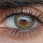 DNA Taylor Brown Hazel