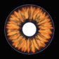 22 mm Elf Orange