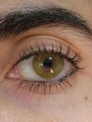 Siesta Original Apple Green