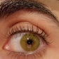 Siesta Original Apple Green