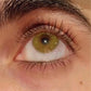 Siesta Original Apple Green
