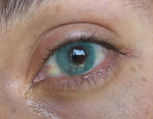 Creamy Green - Siesta Black