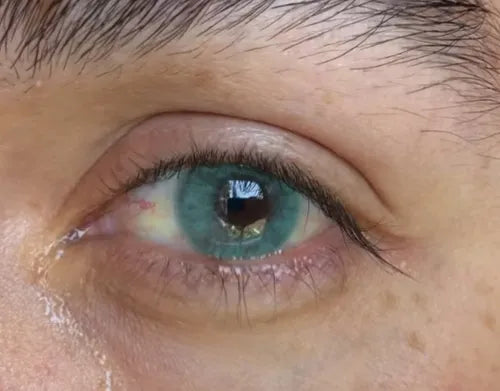 Creamy Green - Siesta Black