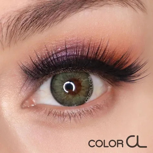 Bliss Khaki - Siesta Black