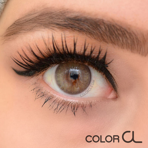 Cloud Brown - Siesta Black