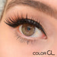 Cloud Brown - Siesta Black
