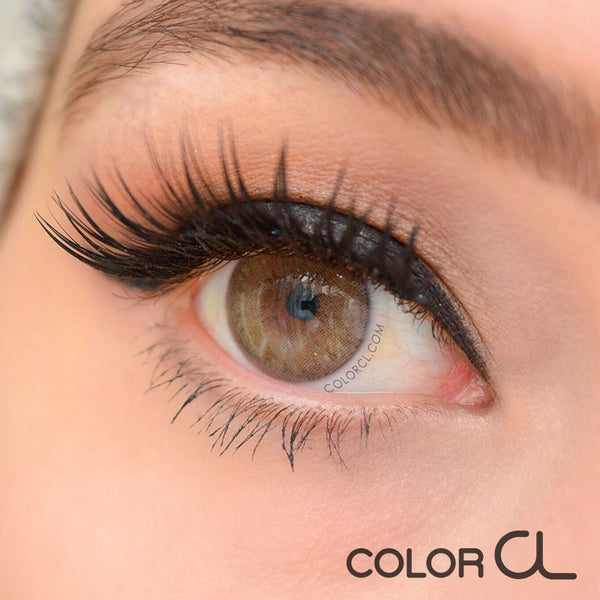 Cloud Brown - Siesta Black