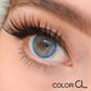 Romance Blue - Siesta Black
