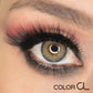 Romance Cedar - Siesta Black