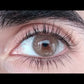 Siesta Crystal Brown